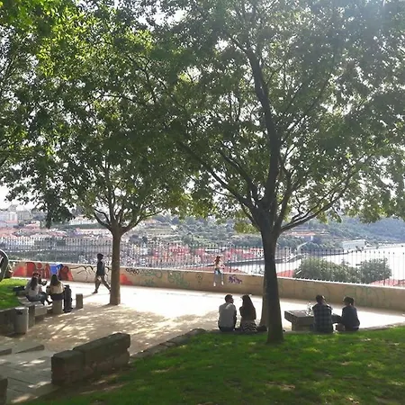 Virtudes Garden